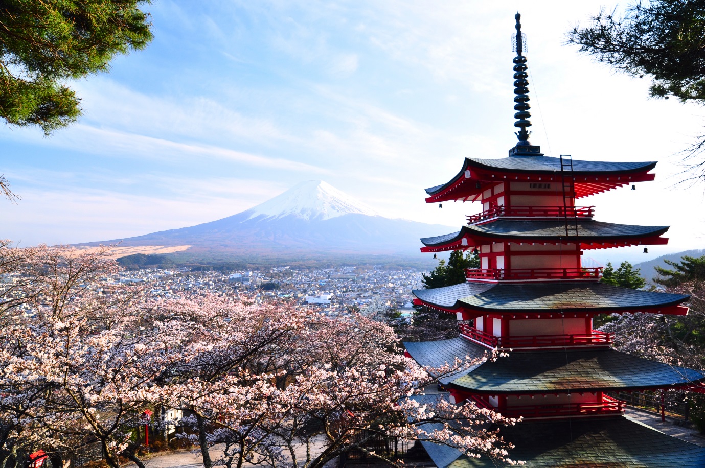 Windows Of Japan